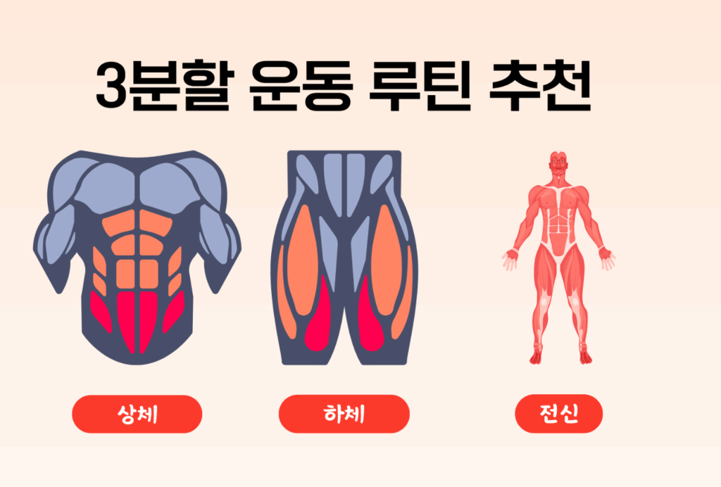 남자 헬린이 VS 여자 헬린이 루틴 차이 남자 헬린이 VS 여자 헬린이 루틴 차이